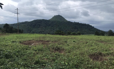 Rebekah Single Firewall House for Sale in Lumbo, Valencia City, Bukidnon