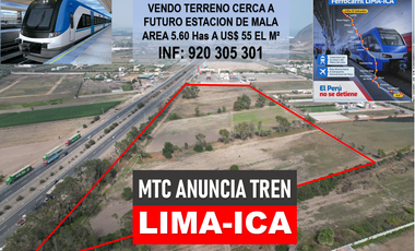 VENDO TERRENO 5.6 HAS PANAMERICANA SUR KM 86 TOTORITAS MALA
