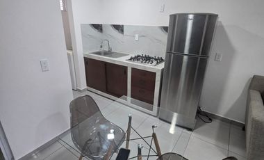 DEPARTAMENTO AMUEBLADO EN RENTA EN SAN MATEO ATENCO