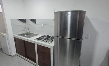 DEPARTAMENTO AMUEBLADO EN RENTA EN SAN MATEO ATENCO