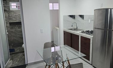 DEPARTAMENTO AMUEBLADO EN RENTA EN SAN MATEO ATENCO