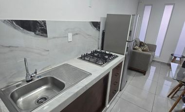 DEPARTAMENTO AMUEBLADO EN RENTA EN SAN MATEO ATENCO