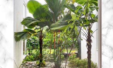 Casa quinta con cabañas turisticas en la vereda la poyata-Villavicencio