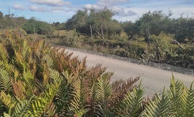 Vendo Parcela de 14.000 m2