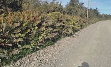 Vendo Parcela de 14.000 m2