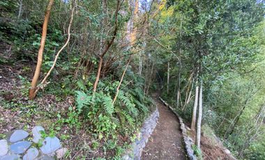 Casa a orilla del río Toltén a 18 kilómetros de Villarrica