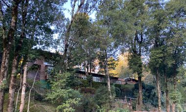 Casa a orilla del río Toltén a 18 kilómetros de Villarrica