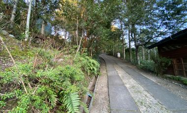 Casa a orilla del río Toltén a 18 kilómetros de Villarrica