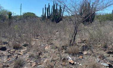 TERRENO EN VENTA TECOZAUTLA, HGO.