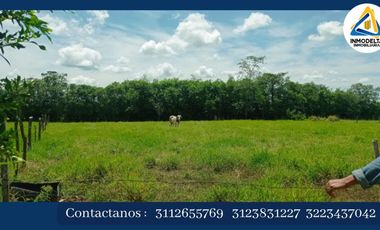 SE VENDE LOTE VEREDA EL BARRANCO