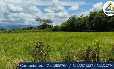 SE VENDE LOTE VEREDA EL BARRANCO