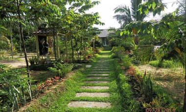 45-ROOM BEACH RESORT & HOTEL W/CAP OF 243 GUESTS, SITUATED AT BRGY. NIPOO, DINALUNGAN, AURORA PROVINCE, PHILIPPINES