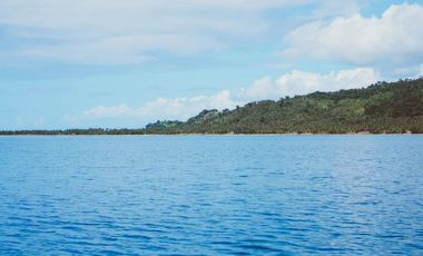 45-ROOM BEACH RESORT & HOTEL W/CAP OF 243 GUESTS, SITUATED AT BRGY. NIPOO, DINALUNGAN, AURORA PROVINCE, PHILIPPINES