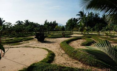 45-ROOM BEACH RESORT & HOTEL W/CAP OF 243 GUESTS, SITUATED AT BRGY. NIPOO, DINALUNGAN, AURORA PROVINCE, PHILIPPINES