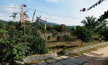 45-ROOM BEACH RESORT & HOTEL W/CAP OF 243 GUESTS, SITUATED AT BRGY. NIPOO, DINALUNGAN, AURORA PROVINCE, PHILIPPINES