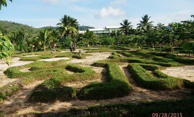 45-ROOM BEACH RESORT & HOTEL W/CAP OF 243 GUESTS, SITUATED AT BRGY. NIPOO, DINALUNGAN, AURORA PROVINCE, PHILIPPINES