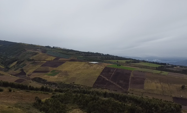 VENTA DE TERRENOS MALCHINGUI