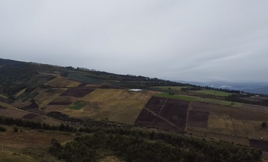 VENTA DE TERRENOS MALCHINGUI