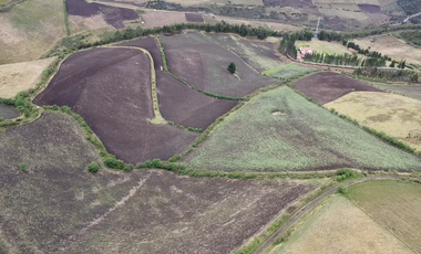 VENTA DE TERRENOS MALCHINGUI