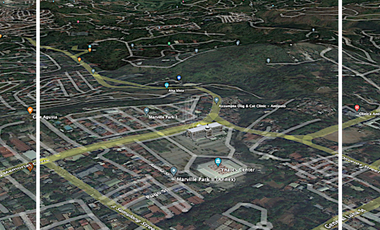 1.75 Hectare Land for Sale near E Bank Road, Taytay, Rizal
