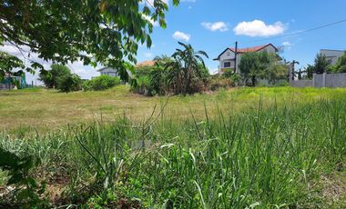 The Southplains Executive Lots for Sale along Aguinaldo Highway