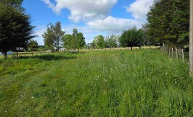 VENDO 5,38 HECTAREAS EN FRUTILLAR ALTO, REGION DE LOS LAGOS