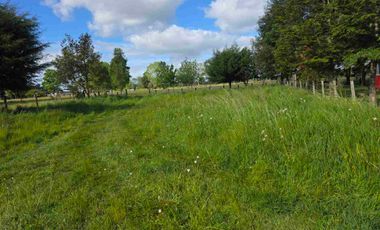 VENDO 5,38 HECTAREAS EN FRUTILLAR ALTO, REGION DE LOS LAGOS