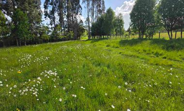VENDO 5,38 HECTAREAS EN FRUTILLAR ALTO, REGION DE LOS LAGOS