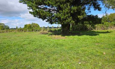 VENDO 5,38 HECTAREAS EN FRUTILLAR ALTO, REGION DE LOS LAGOS