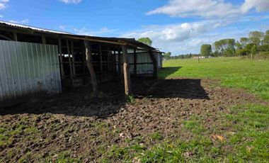 VENDO 5,38 HECTAREAS EN FRUTILLAR ALTO, REGION DE LOS LAGOS