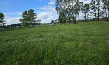 VENDO 5,38 HECTAREAS EN FRUTILLAR ALTO, REGION DE LOS LAGOS