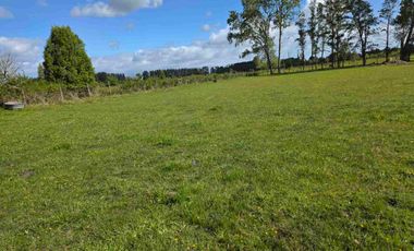 VENDO 5,38 HECTAREAS EN FRUTILLAR ALTO, REGION DE LOS LAGOS