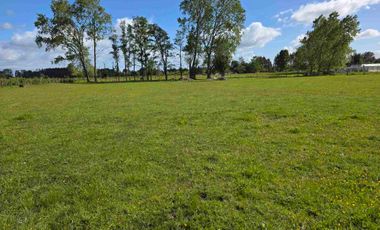 VENDO 5,38 HECTAREAS EN FRUTILLAR ALTO, REGION DE LOS LAGOS