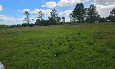 VENDO 5,38 HECTAREAS EN FRUTILLAR ALTO, REGION DE LOS LAGOS