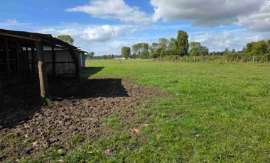 VENDO 5,38 HECTAREAS EN FRUTILLAR ALTO, REGION DE LOS LAGOS
