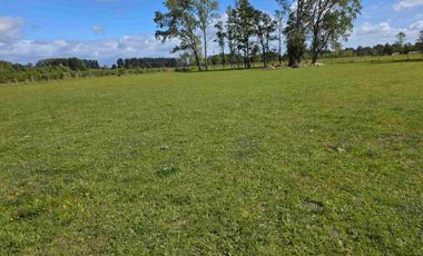 VENDO 5,38 HECTAREAS EN FRUTILLAR ALTO, REGION DE LOS LAGOS