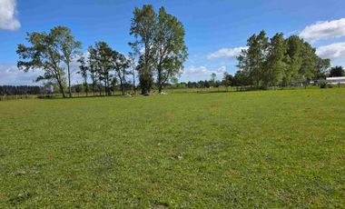 VENDO 5,38 HECTAREAS EN FRUTILLAR ALTO, REGION DE LOS LAGOS