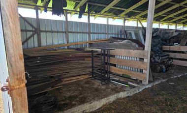 VENDO 5,38 HECTAREAS EN FRUTILLAR ALTO, REGION DE LOS LAGOS