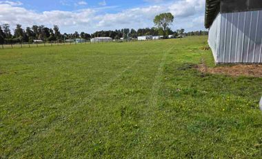 VENDO 5,38 HECTAREAS EN FRUTILLAR ALTO, REGION DE LOS LAGOS