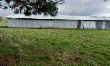 VENDO 5,38 HECTAREAS EN FRUTILLAR ALTO, REGION DE LOS LAGOS