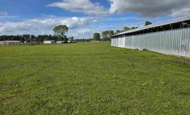 VENDO 5,38 HECTAREAS EN FRUTILLAR ALTO, REGION DE LOS LAGOS