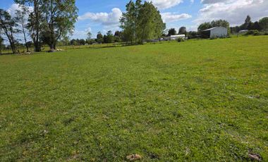 VENDO 5,38 HECTAREAS EN FRUTILLAR ALTO, REGION DE LOS LAGOS