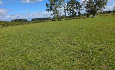 VENDO 5,38 HECTAREAS EN FRUTILLAR ALTO, REGION DE LOS LAGOS