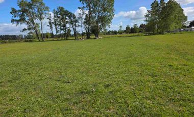 VENDO 5,38 HECTAREAS EN FRUTILLAR ALTO, REGION DE LOS LAGOS