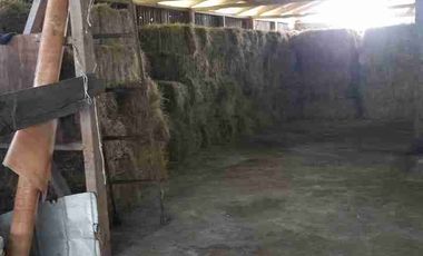 VENDO 5,38 HECTAREAS EN FRUTILLAR ALTO, REGION DE LOS LAGOS