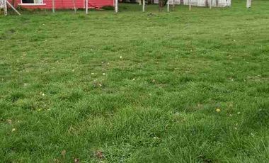 VENDO 5,38 HECTAREAS EN FRUTILLAR ALTO, REGION DE LOS LAGOS