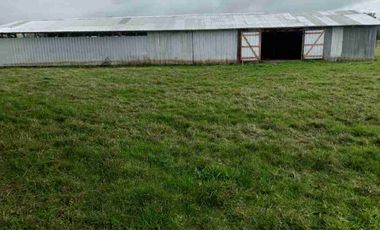 VENDO 5,38 HECTAREAS EN FRUTILLAR ALTO, REGION DE LOS LAGOS