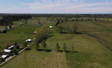 VENDO 5,38 HECTAREAS EN FRUTILLAR ALTO, REGION DE LOS LAGOS