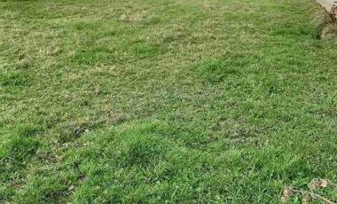 VENDO 5,38 HECTAREAS EN FRUTILLAR ALTO, REGION DE LOS LAGOS