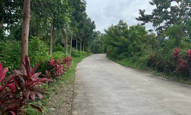 LOT FOR SALE IN DAUIN